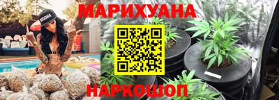 трава Новодвинск