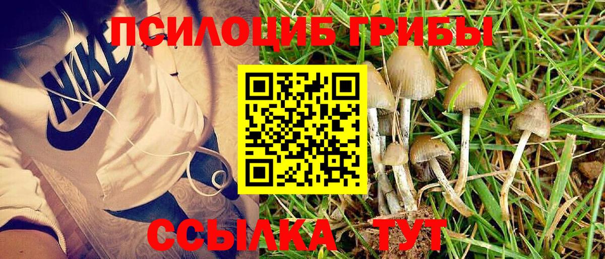 Галлюциногенные грибы мицелий  Вход с VPN  Троицк 