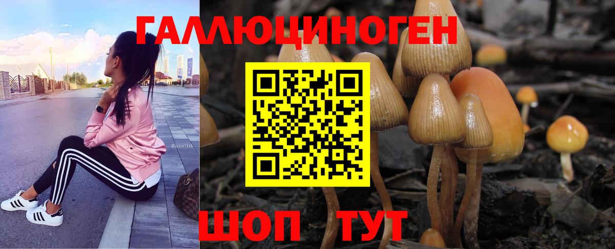 Псилоцибиновые грибы Magic Shrooms Троицк